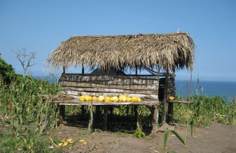 Reisetagebuch Ecuador 1